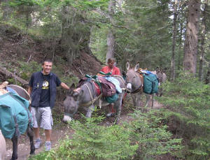 Association Anes de Blore - Valdeblore La Colmiane - Mercantour - 06 Alpes Maritimes France