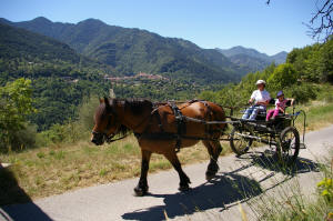 une promenade, une petite balade en calche pour dcouvrir le coin au pas du cheval. En arrire plan, Roquebillire