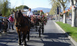 Calche fleurie au printemps