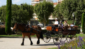 Ftes, manifestations et animations en calche - 06 Alpes maritimes - Vsubie Mercantour - France