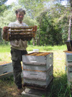 jerome PAYEN - Le rucher des baous - Miel, gelée royale et pollen de provence - Belvédère - Vésubie -06 Alpes Maritimes