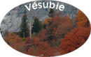 L'htel saint Sbastien - Valle de la Vsubie 06450 Roquebillire