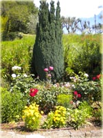 Elagage et abattge d'arbres sur tout le 06 - Les jardins Vésubiens