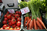 Produits frais et bio de la vallée. Tomates et carottes de Berthemont les Bains