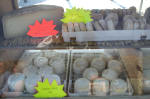 Fromages de brebis ? de chvres ? ou mlange ?